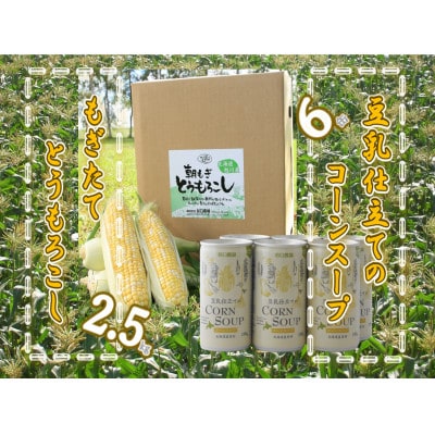 もぎたてとうもろこしと豆乳仕立てのコーンスープセット《9月上旬〜出荷予定》_02152【配送不可地域:離島】【1396929】北海道旭川市12000野菜・きのことうもろこし