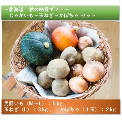【2024年9月中旬発送開始】北海道秋の味覚ギフトじゃがいも+玉ねぎ+かぼちゃ計10kg_02160【1396952】北海道旭川市11000野菜・きのこ玉ねぎ・ねぎ