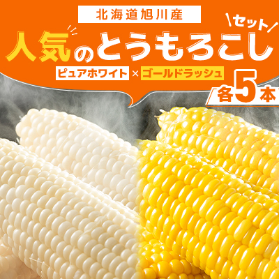 【2026年先行受付】人気のとうもろこしセットピュアホワイト5本×ゴールドラッシュ5本_03648【配送不可地域:離島・沖縄】【1475559】北海道旭川市12000野菜・きのことうもろこし