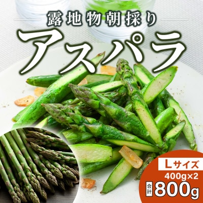旭川近郊産グリーンアスパラ 800g Lサイズ_03818【配送不可地域:離島】【1508483】北海道旭川市10000野菜・きのこその他 野菜