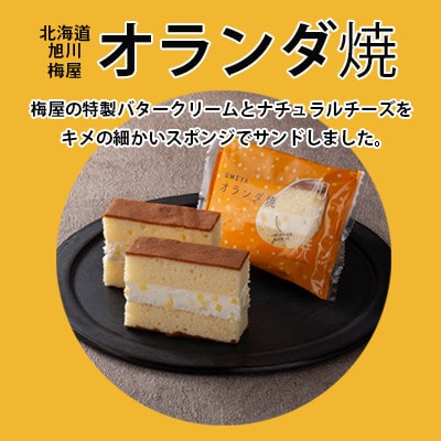 ナチュラルチーズの塩味がくせになるカステラ【オランダ焼き】12個入り_04270【1541287】北海道旭川市10000菓子・スイーツ焼き菓子