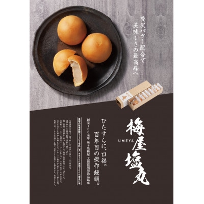 北海道産素材にこだわった菓子処梅屋自慢の逸品【塩丸】14個入り_04274【1541351】北海道旭川市10000菓子・スイーツ饅頭・羊羹・大福