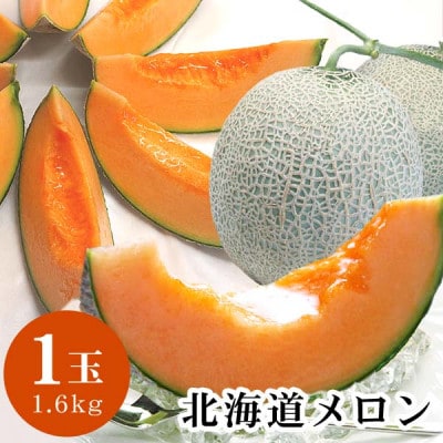 ystz2026N7{ȍ~@kCYԓnx16x@1ʁ@1.6kg_04752y1568879zkCs9000ʕEt[cEXCJ