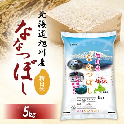 ߘa7NYAN  YȂȂڂ5kg_05448y1670998zkCs16000āEp