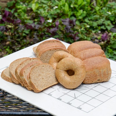 【毎月定期便】全粒粉100%食パン2本&ベーグル2個セット(砂糖・卵・油不使用) 00472_全6回【配送不可地域:離島】【4001565】北海道旭川市65000米・パンパン