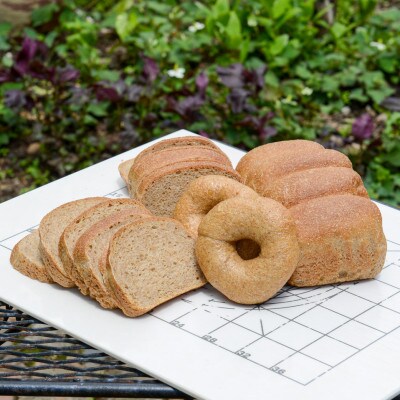 【毎月定期便】全粒粉100%食パン2本&ベーグル2個セット(砂糖・卵・油不使用) 00472_全6回【配送不可地域:離島】【4052256】北海道旭川市76000米・パンパン
