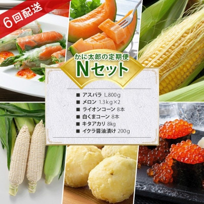 yŒցzɑYNAXp  Ƃ낱2  CN03827S6yzsnFzy4061471zkCs66000ECY