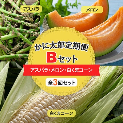 yŒցzɑYBZbg@AXpEԓE܃R[_01597_S3yzsnFzy4062038zkCs41000ʕEt[cEXCJ