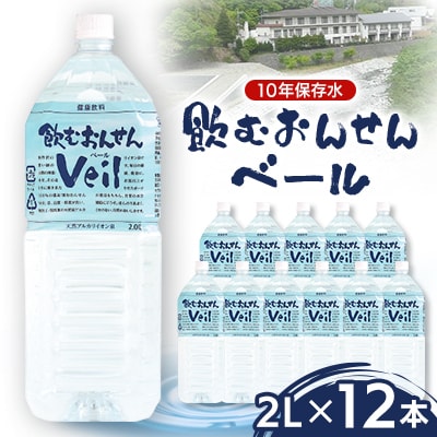 10Nۑ@ނ񂹂x[2L×6{y2Zbgzy1490468z_ސ쌧Rk21000EE~lEH[^[