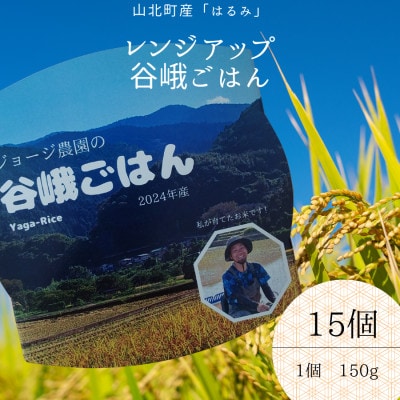 W[W_̃WAbvJゲ͂()@2024NY@150g×15y1674277z_ސ쌧Rk18000āEp