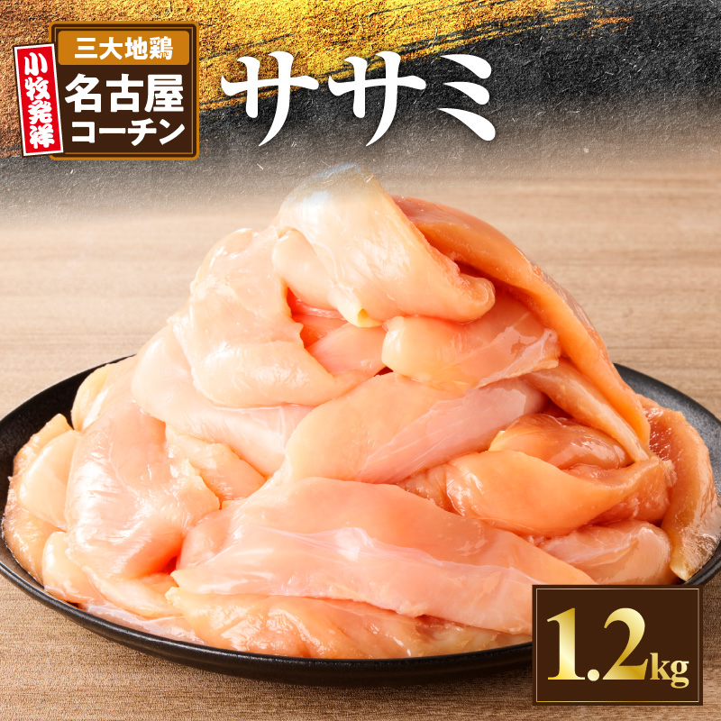 ÉR[`@1.2kg喞Zbgm001T12nmqs12000{