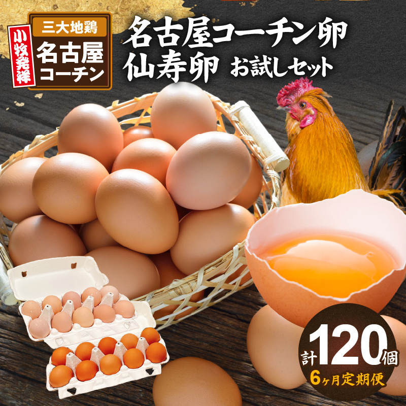 【6ヶ月定期便】名古屋コーチン卵・仙寿卵お試しセット(各10個入り)×6回(計各60個)愛知県小牧市54000卵・乳製品卵(鶏、烏骨鶏等)