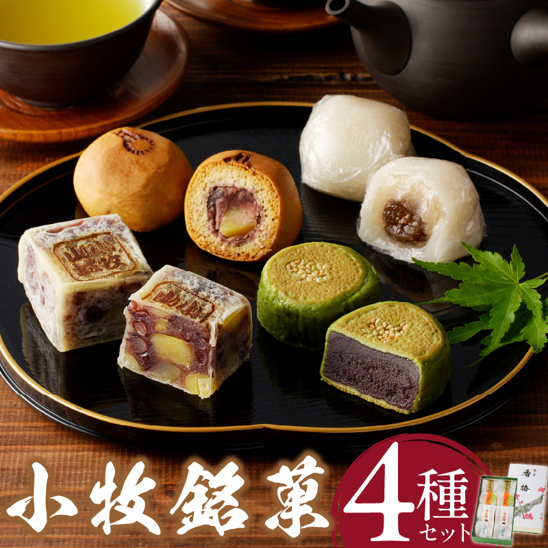 qكZbgm009E04nmqs10000َqEXC[c̑ aَq