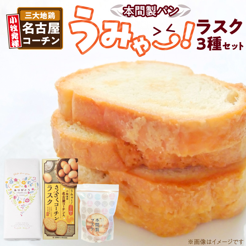 {Ԑp@݂`IXNZbgm013H11nmqs12000َqEXC[cĂَq