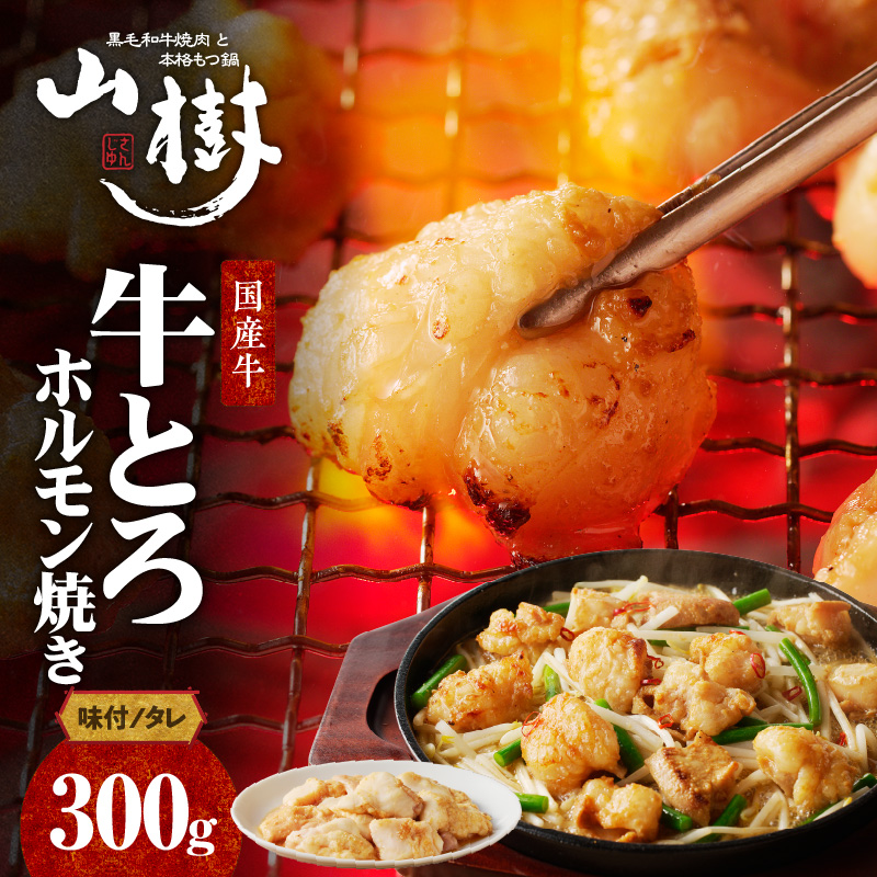 山樹の国産牛とろホルモン焼き(味付/タレ) 300g愛知県小牧市9000肉その他 肉