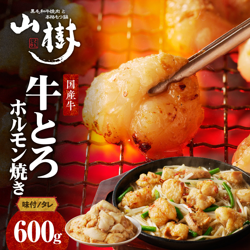 山樹の国産牛とろホルモン焼き(味付/タレ) 600g愛知県小牧市14000肉その他 肉