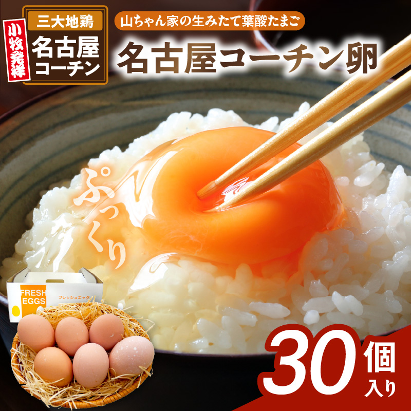 yRƂ݂̐ėt_܂zÉR[`i30jm132Y01nmqs11000Eii{AG{j