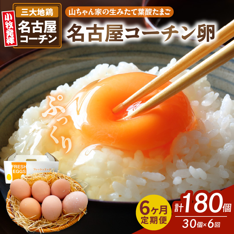 y6ցzyRƂ݂̐ėt_܂zÉR[`i30jm132Y02-Tnmqs66000Eii{AG{j