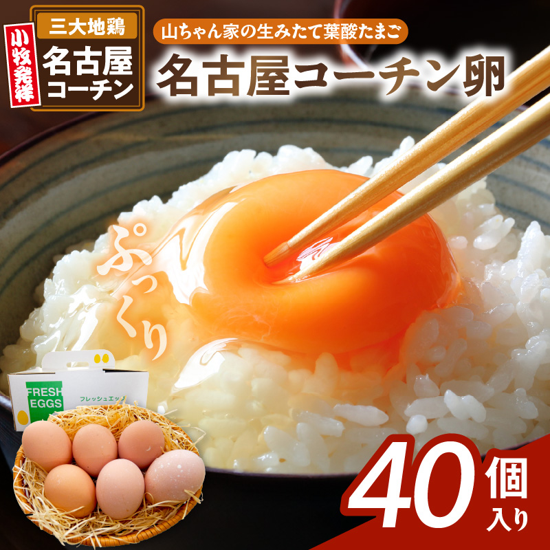 yRƂ݂̐ėt_܂zÉR[`i40jm132Y02nmqs13000Eii{AG{j