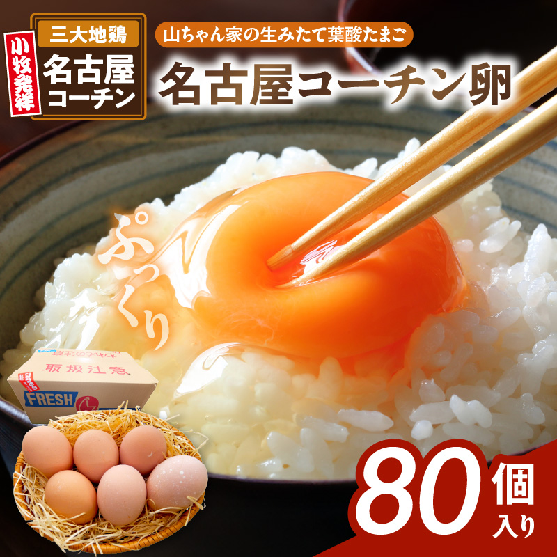 yRƂ݂̐ėt_܂zÉR[`i80jm132Y03nmqs22000Eii{AG{j