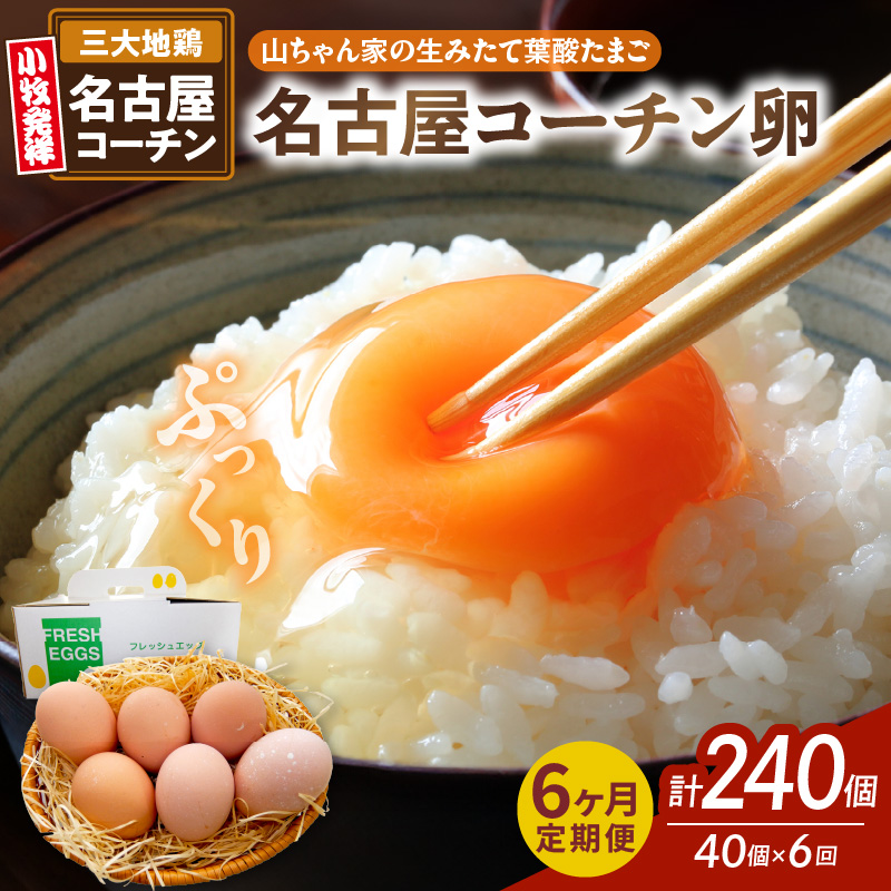 y6ցzyRƂ݂̐ėt_܂zÉR[`i40jm132Y04-Tnmqs78000Eii{AG{j