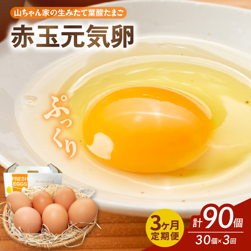 y3ցzyRƂ݂̐ėt_܂zԋʌCi30jm132Y05-Tnmqs27000Eii{AG{j