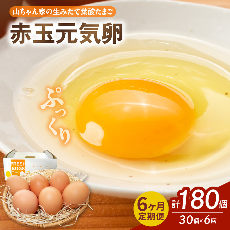 y6ցzyRƂ݂̐ėt_܂zԋʌCi30jm132Y06-Tnmqs54000Eii{AG{j