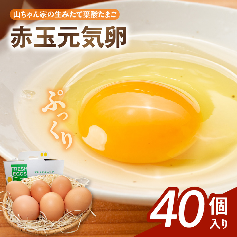 yRƂ݂̐ėt_܂zԋʌCi40jm132Y06nmqs10000Eii{AG{j