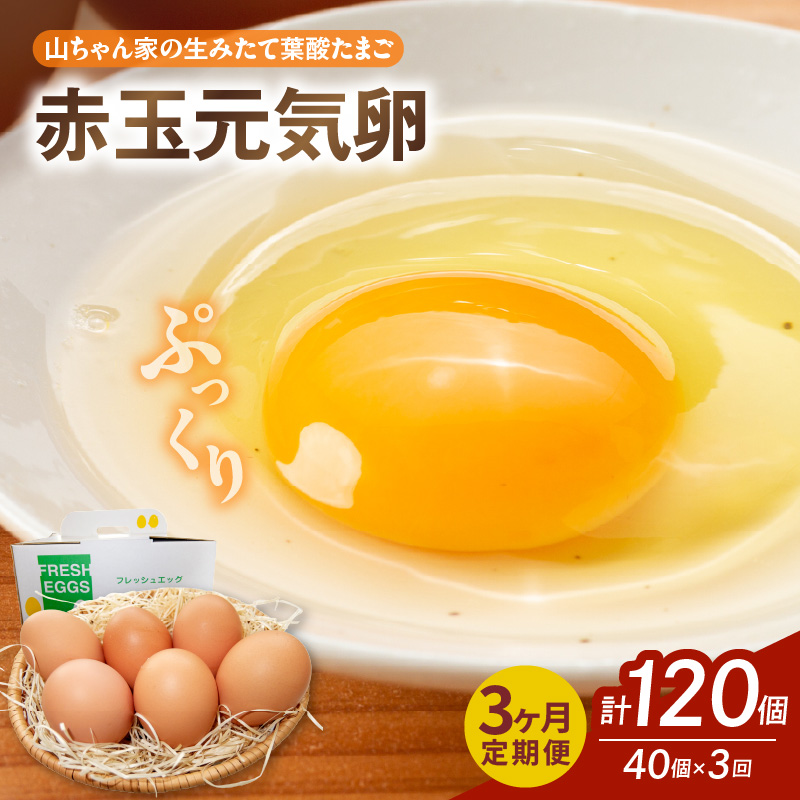 y3ցzyRƂ݂̐ėt_܂zԋʌCi40jm132Y07-Tnmqs30000Eii{AG{j