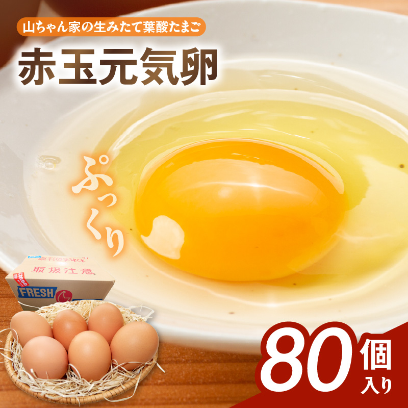 yRƂ݂̐ėt_܂zԋʌCi80jm132Y07nmqs14000Eii{AG{j