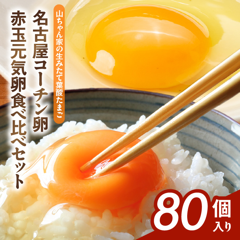 yRƂ݂̐ėt_܂zÉR[`EԋʌC Hה׃Zbgie40 v80jm132Y11nmqs18000Eii{AG{j