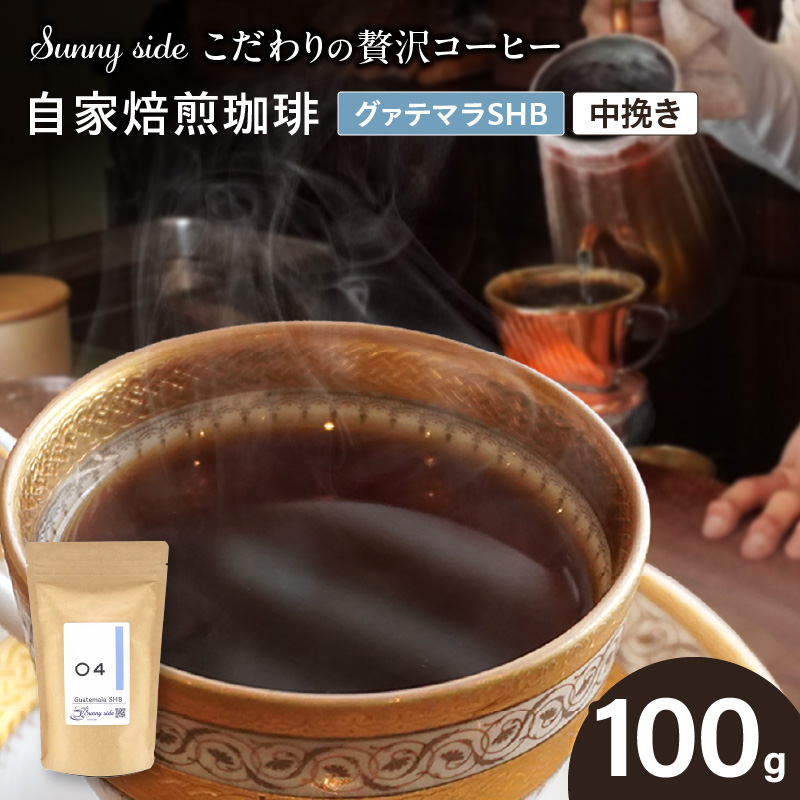 yґR[q[zuSunny sidev̎O@e}rgai100gji҂jm137S06-02nmqs4000ER[q[Eg