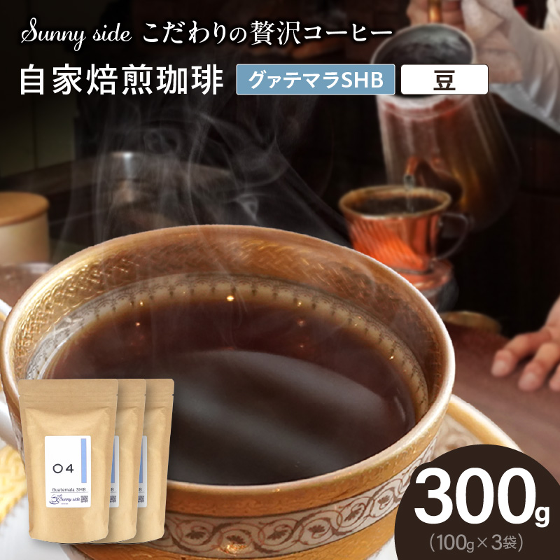 yґR[q[zuSunny sidev̎O@e}rgai300gjî܂܁jm137S12-01nmqs9000ER[q[Eg