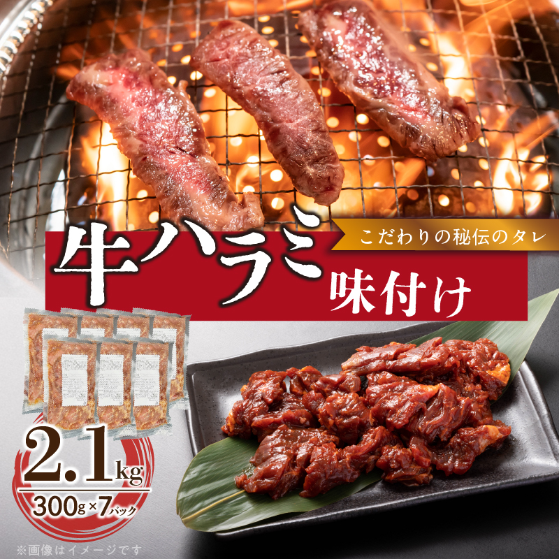 yH ېzn~t 2.1kgm153M12nmqs22000