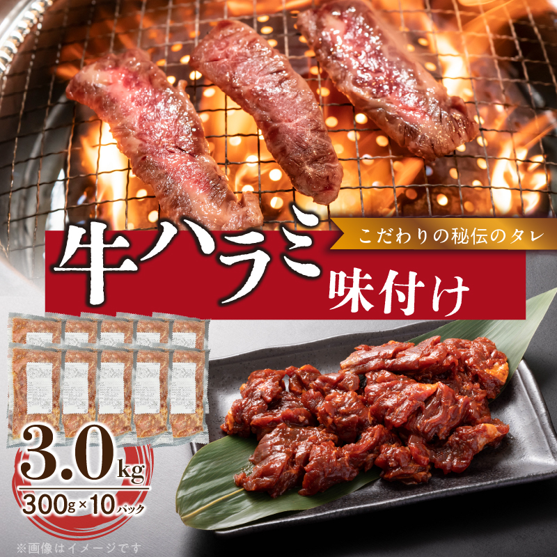 yH ېzn~t 3.0kgm153M15nmqs29000