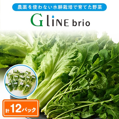 G Line brio レタス12パックセット【配送不可地域:離島】【1121143】兵庫県太子町10000野菜・きのこその他 野菜
