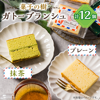 ガトーブランシュ 12個箱入り(プレーン6個・抹茶6個)【配送不可地域:離島】【1488052】兵庫県太子町11000菓子・スイーツ焼き菓子