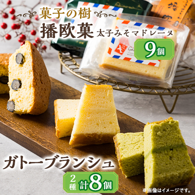 播欧菓〜太子みそマドレーヌ〜とガトーブランジュ詰め合わせ【配送不可地域:離島】【1494499】兵庫県太子町15000菓子・スイーツ焼き菓子