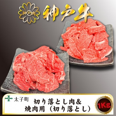 訳あり神戸牛 TSSY2S 切り落とし・焼肉(不揃い) 500gずつセット【配送不可地域:離島】【1509908】兵庫県太子町22000肉牛肉