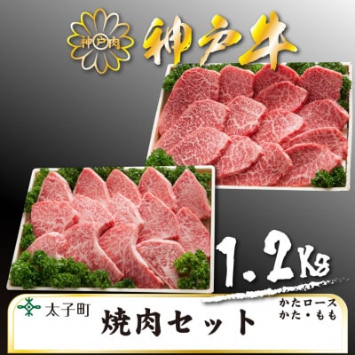 神戸牛 TSYS5 焼肉用セット 合計 1200g【配送不可地域:離島】【1509934】兵庫県太子町52000肉牛肉