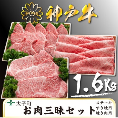 神戸牛 TSLS10 お肉三昧セット 合計 1600g【配送不可地域:離島】【1509937】兵庫県太子町110000肉牛肉
