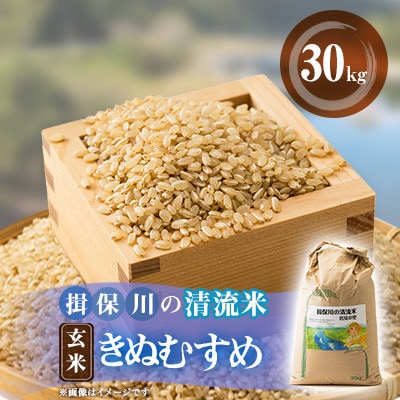令和6年度 揖保川の清流米(きぬむすめ30kg)【玄米】【1541759】兵庫県太子町27000米・パン玄米・雑穀米・もち米・餅