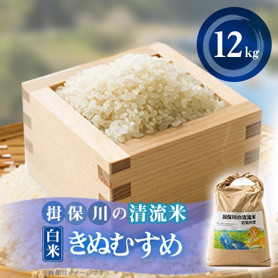 令和6年産 揖保川の清流米(きぬむすめ12kg)【白米】【1541760】兵庫県太子町12000米・パン白米