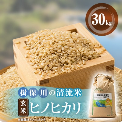 令和7年産 揖保川の清流米(ヒノヒカリ30kg) 【玄米】【1643298】兵庫県太子町44000米・パン玄米・雑穀米・もち米・餅