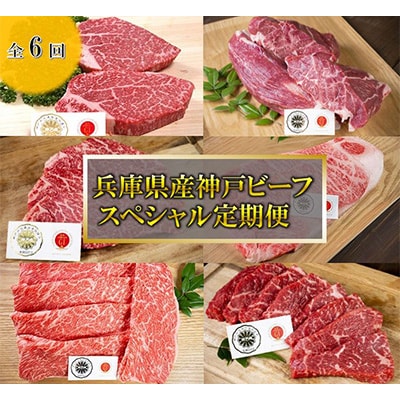 【毎月定期便】【神戸牛】6品スペシャル定期便 冷凍 全6回【配送不可地域:離島】【4009476】兵庫県太子町110000肉牛肉