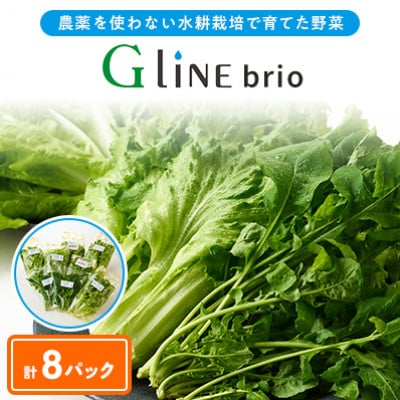 【毎月定期便】G Line brio レタス8パックセット全3回【配送不可地域:離島】【4056836】兵庫県太子町20000野菜・きのこその他 野菜
