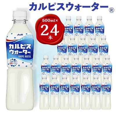 『カルピスウォーター』PET500ml 24本【1335967】群馬県館林市15000お茶・飲料その他 お茶・飲料