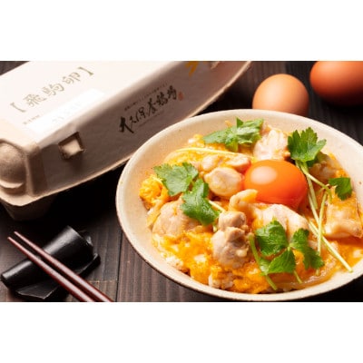 大久保養鶏場の飛駒卵 60個(10個入り×6パック)【配送不可地域:離島】【1485697】群馬県館林市12000卵・乳製品卵(鶏、烏骨鶏等)