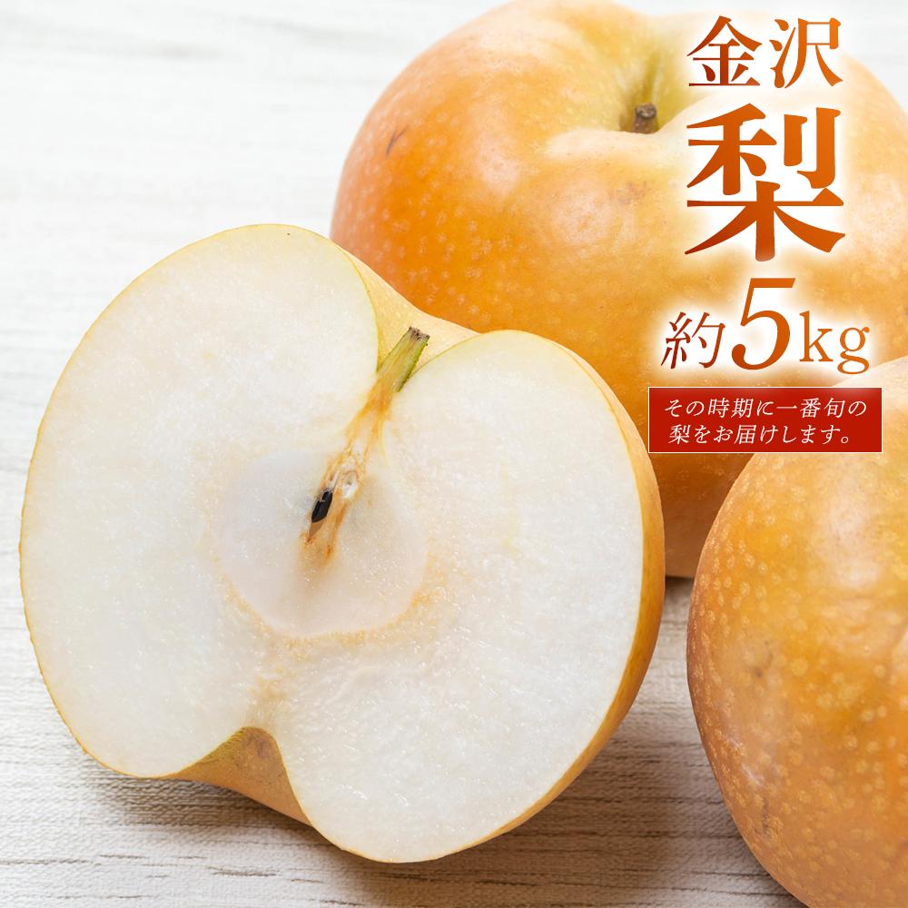 JA金沢市 金沢梨 5kg石川県金沢市13000果物・フルーツりんご・梨