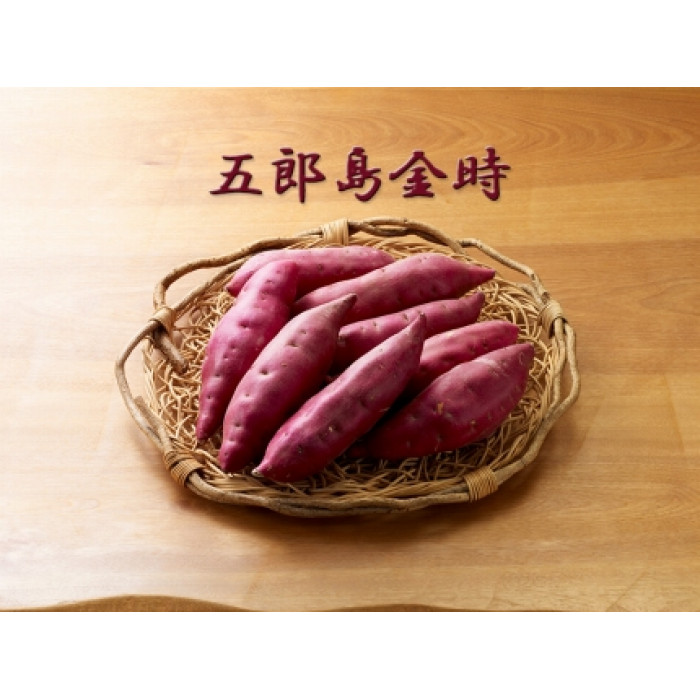 五郎島金時 5kg入石川県金沢市18000野菜・きのこじゃがいも・イモ類